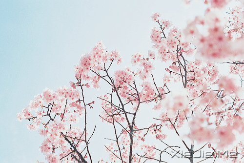 不管成功与否，至少曾经美丽 (4)