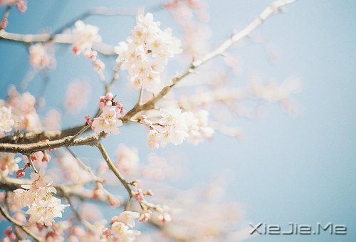 不管成功与否，至少曾经美丽 (9)