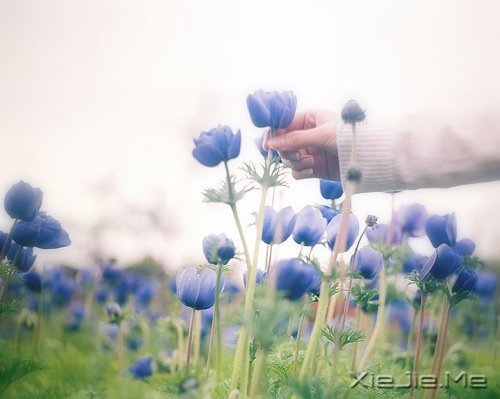 我不完美，但我是完整的自己 (1)