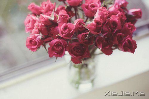 早安心语：淡然一切，往事如烟 (1)