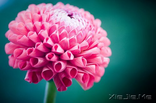 早安心语：淡然一切，往事如烟 (2)