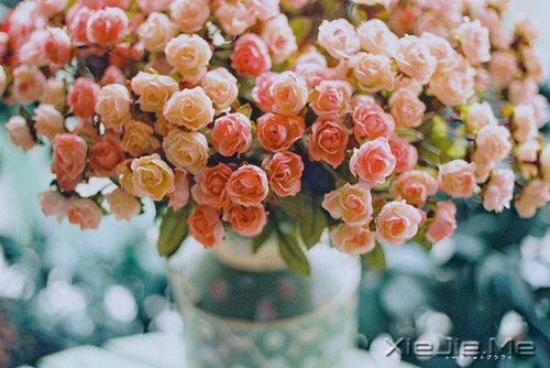 早安心语：淡然一切，往事如烟 (7)