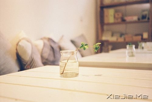 早安心语：为了等你，我错过了等我的人 (4)