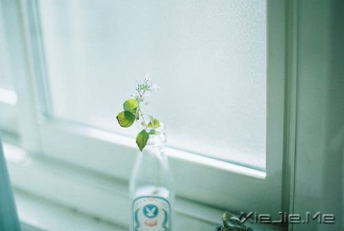 早安心语：为了等你，我错过了等我的人 (6)