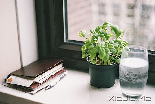 英文心语：无需等待，没有比当下更好的时间 (4)