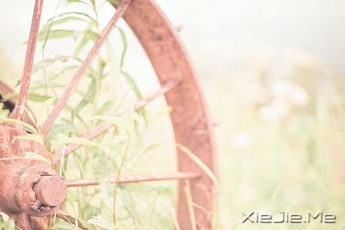 英文心语：无需等待，没有比当下更好的时间 (9)